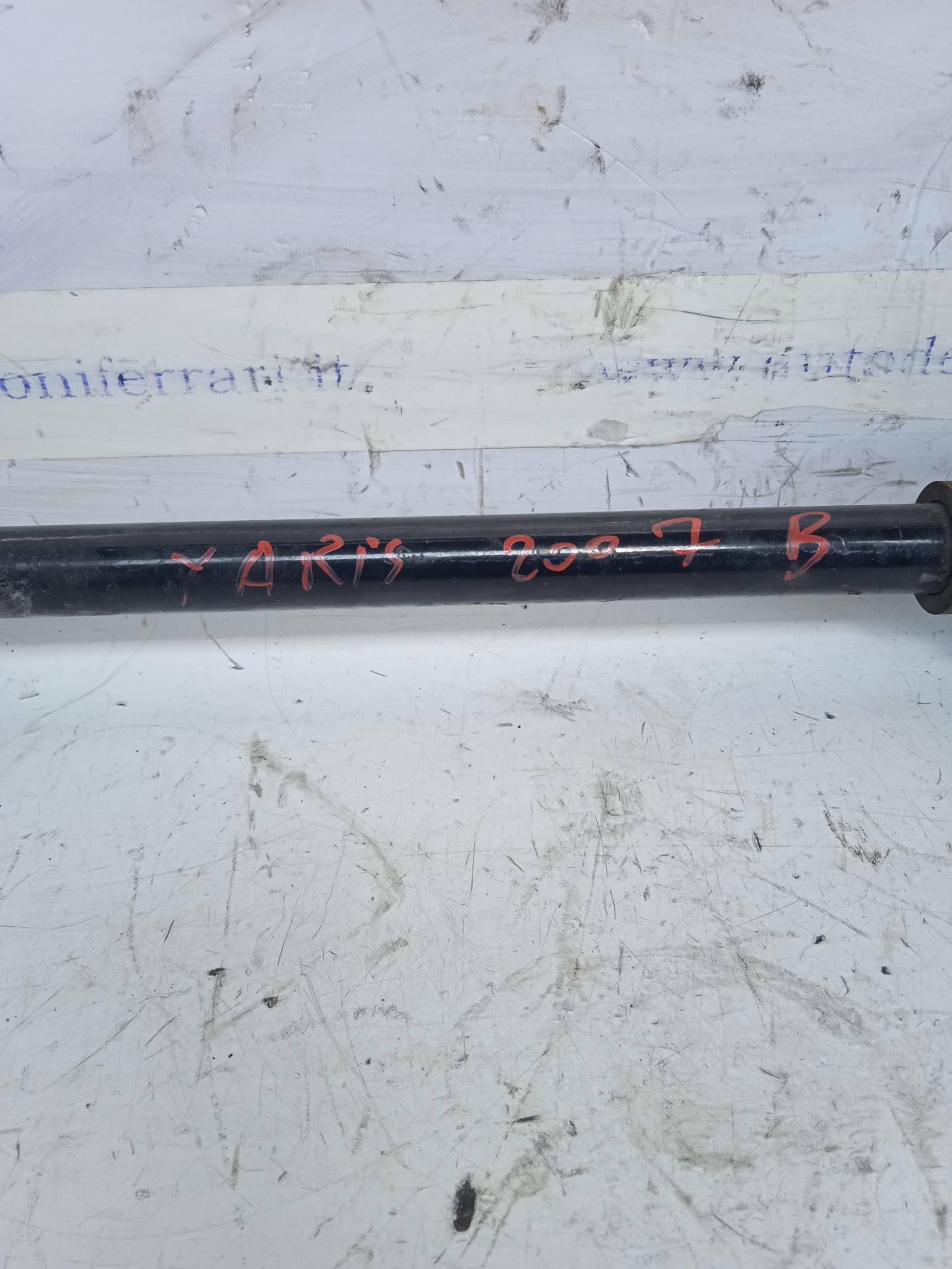 Semialbero ant. compl. dx.